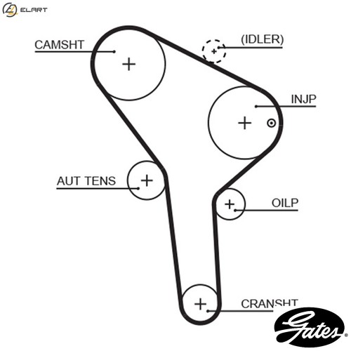 Timing belt 5564xs for skoda - timing,