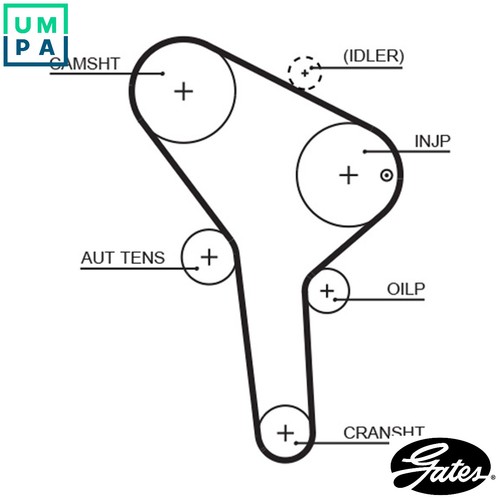 Timing belt 5564xs - belt, skoda