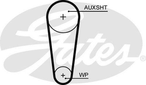 Gates timing belt water - timing,