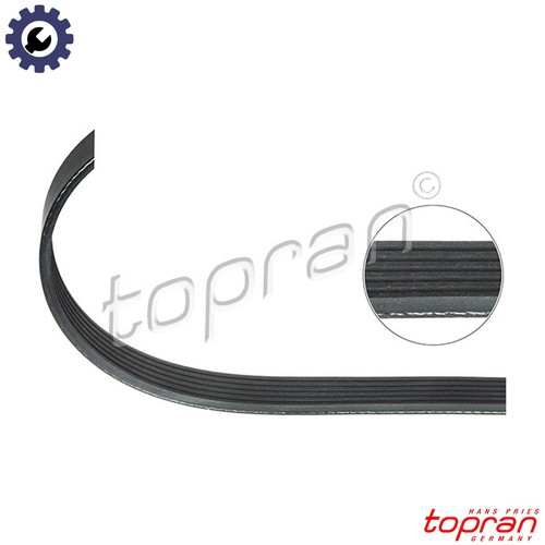 Vribbed belt 111 - belt, for