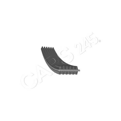 Swag double sided belt for - swag,