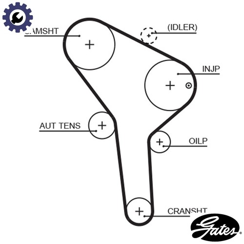 Timing belt 5564xs for - belt,