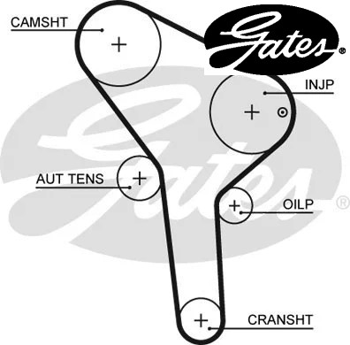 Timing belt kit - timing, k015564xs