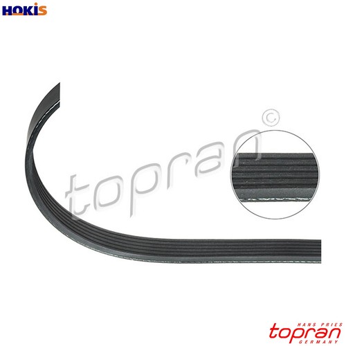 Vribbed belt 111 846 - belt,