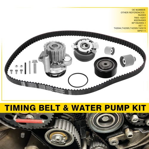 Timing cam belt - cam, +