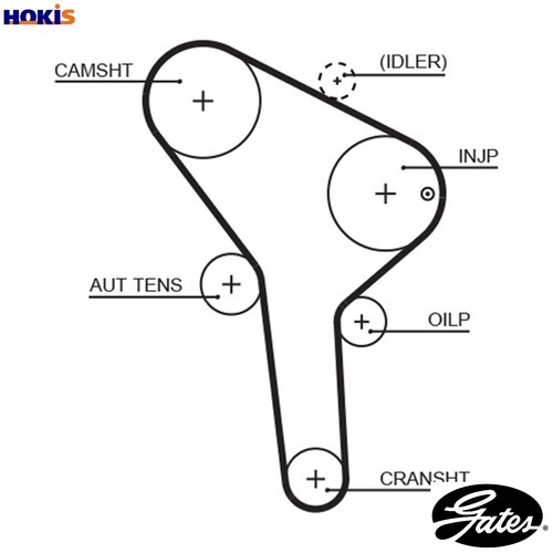 Timing belt 5564xs for skoda - belt,